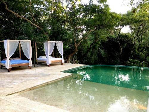 Driftwood Glamping & Boutique Hotel