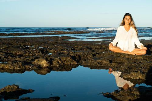 Driftwood Glamping & Boutique Hotel