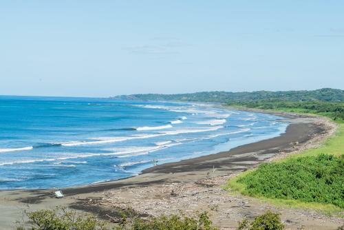 Driftwood Glamping & Boutique Hotel