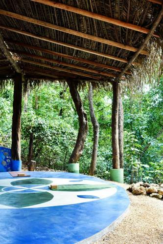Driftwood Glamping & Boutique Hotel