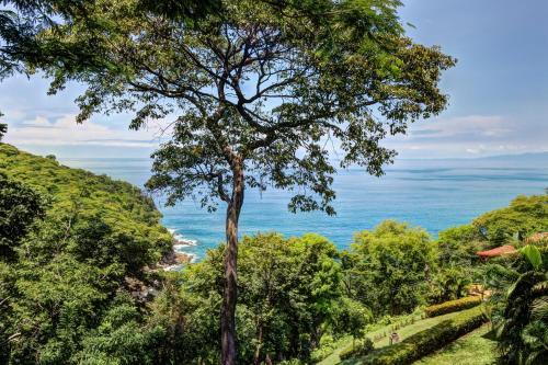 Bahia Pez Vela Villa #29