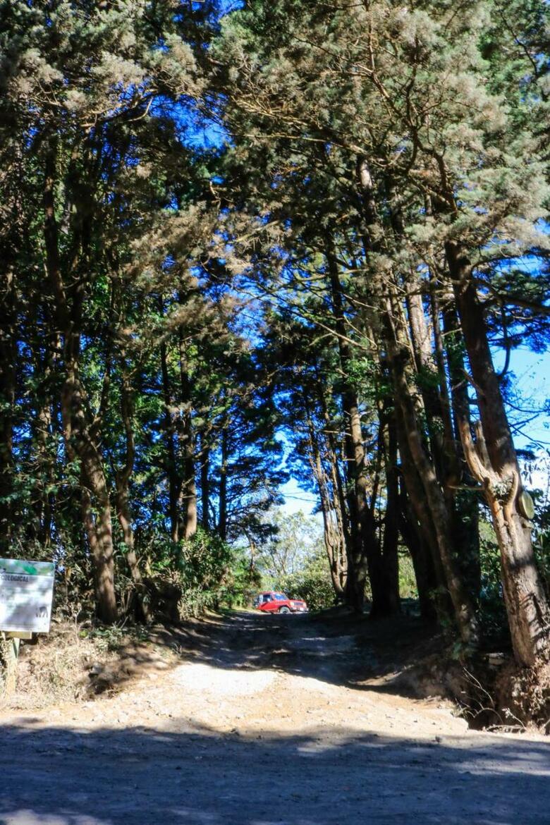 Lodge Moon Forest Apartments