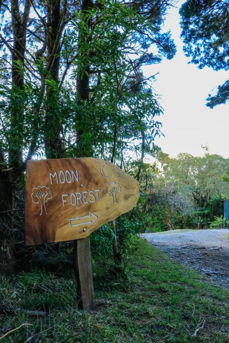 Lodge Moon Forest Apartments