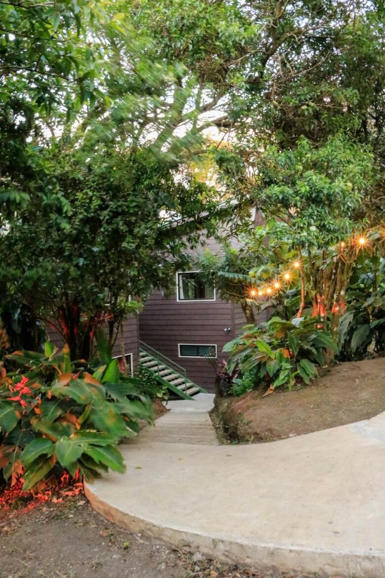 Lodge Moon Forest Apartments