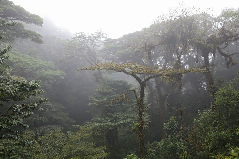 Senda Monteverde Hotel