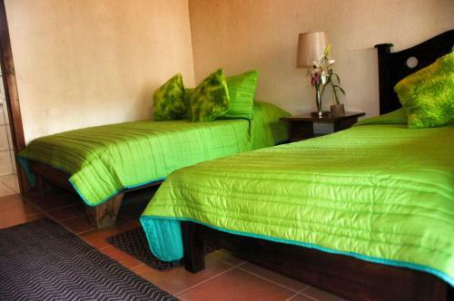 Green Papaya B&B