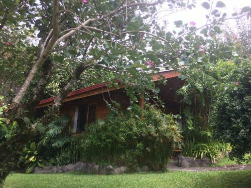 Hotel Arco Iris Lodge