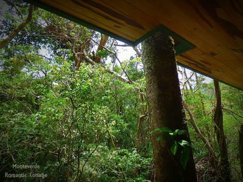 Monteverde Romantic Cottage