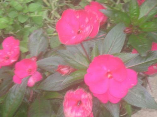 Monteverde Romantic Cottage