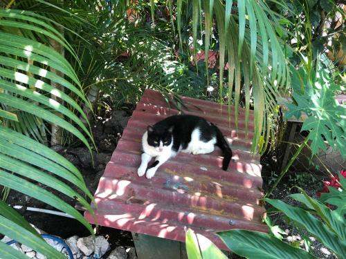 Samara Chillout Lodge - Adults Only