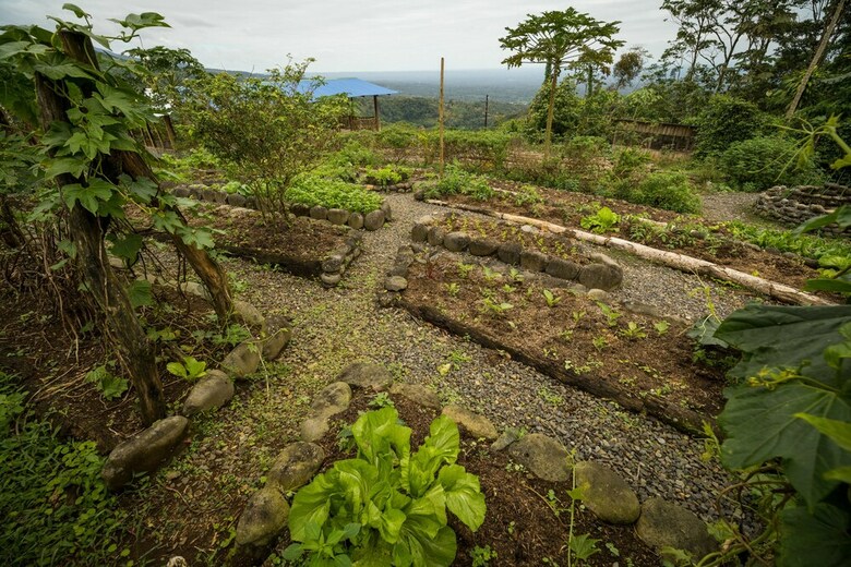 La Tigra Rainforest Lodge