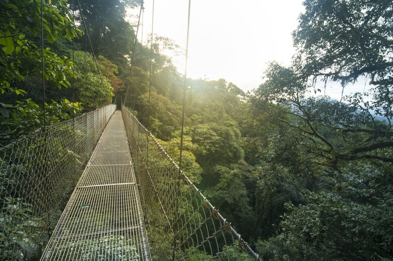 La Tigra Rainforest Lodge