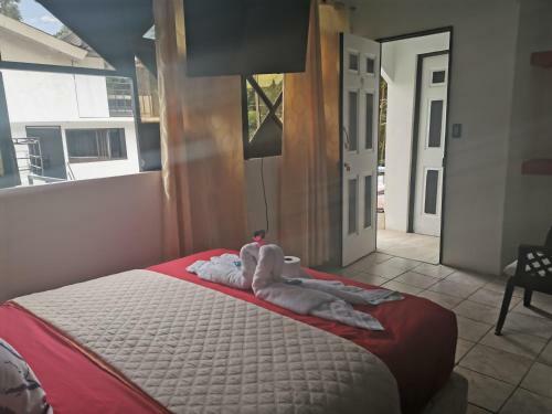 Hostal Hotel Cafe Del Mar, En Valle Pura Vida