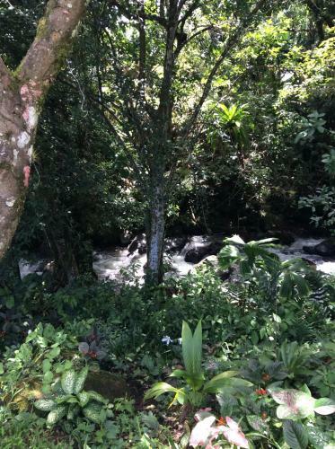 Sound Of Nature