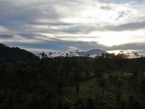Bed & Breakfast Posada R�o Celeste La Amistad