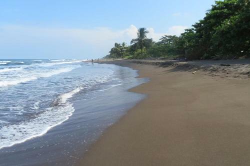Bed & Breakfast Gecko De Tortuguero