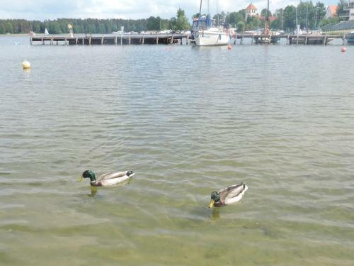 Mazurskie Wzg�rze