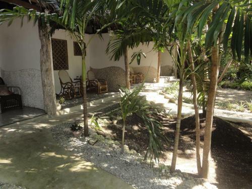 Bed & Breakfast Sea Turtle House Moalboal