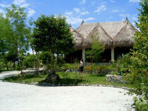 Bed & Breakfast Sea Turtle House Moalboal