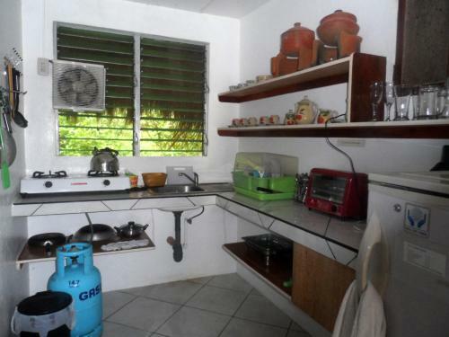 Bed & Breakfast Sea Turtle House Moalboal