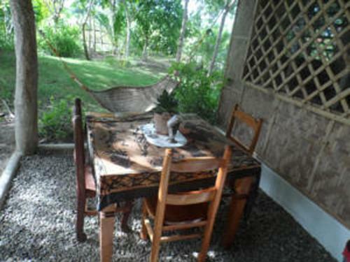 Bed & Breakfast Sea Turtle House Moalboal