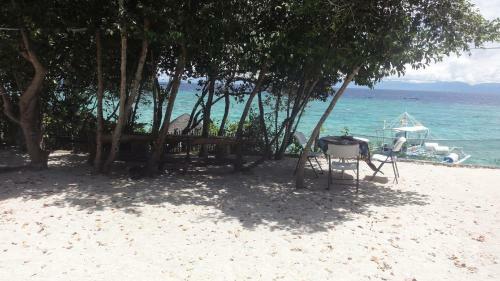 Bed & Breakfast Sea Turtle House Moalboal