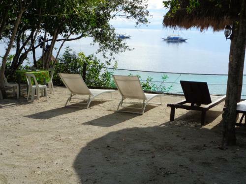 Bed & Breakfast Sea Turtle House Moalboal