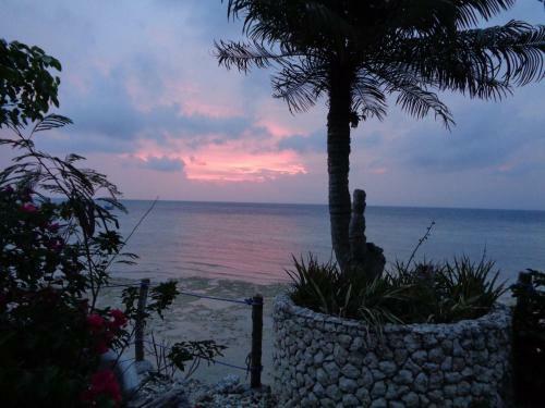 Bed & Breakfast Sea Turtle House Moalboal