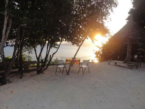 Bed & Breakfast Sea Turtle House Moalboal