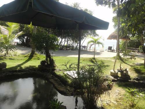 Bed & Breakfast Sea Turtle House Moalboal