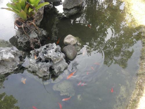 Bed & Breakfast Sea Turtle House Moalboal