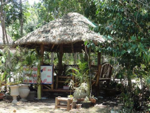 Bed & Breakfast Sea Turtle House Moalboal