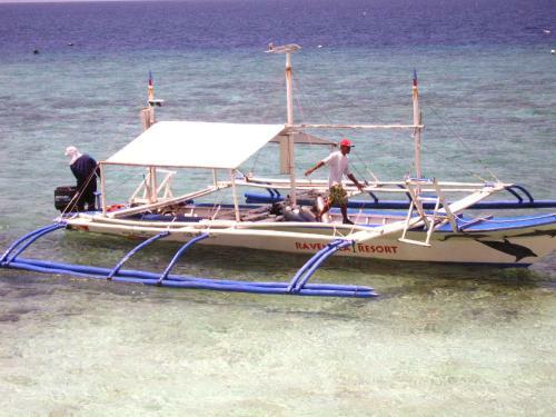 Bed & Breakfast Sea Turtle House Moalboal