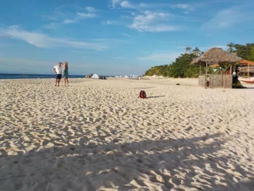 Bed & Breakfast Sea Turtle House Moalboal