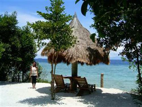 Bed & Breakfast Sea Turtle House Moalboal