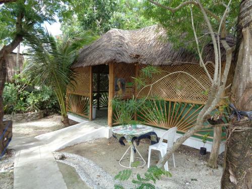 Bed & Breakfast Sea Turtle House Moalboal