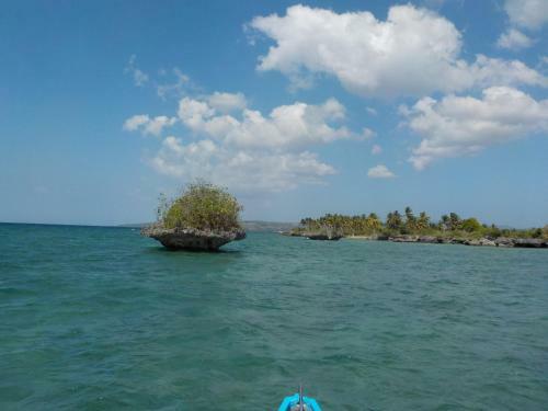 Bed & Breakfast Sea Turtle House Moalboal