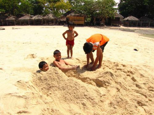 Bed & Breakfast Sea Turtle House Moalboal