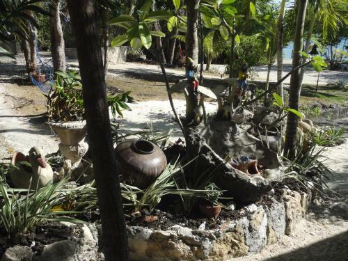 Bed & Breakfast Sea Turtle House Moalboal