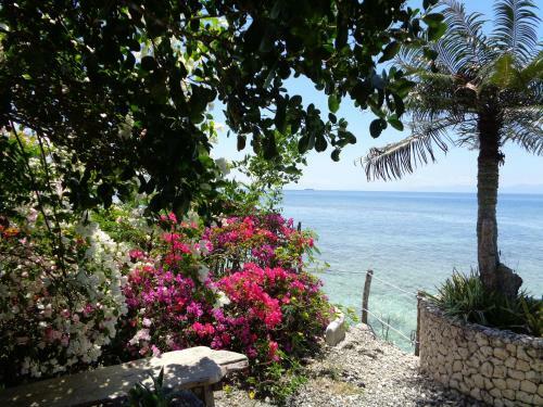Bed & Breakfast Sea Turtle House Moalboal