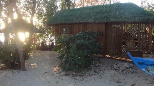 Bed & Breakfast Sea Turtle House Moalboal