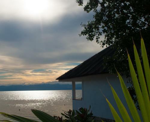 Hotel Quo Vadis Dive Resort