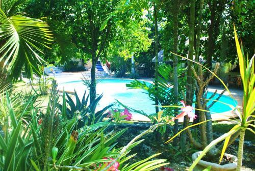 Hotel The Blue Orchid Resort