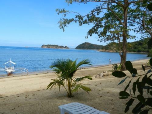 Hotel Cashew Grove Beach Resort