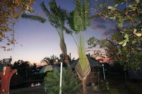 Hotel Rama International Beach Resort