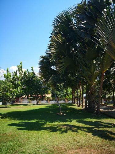 Apartahotel Playa Luna