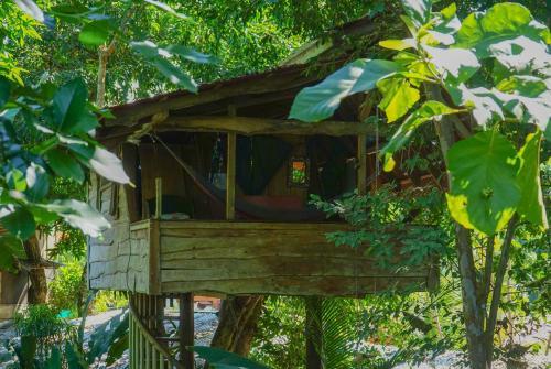 Albergue Flutterby House