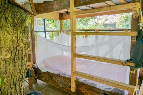 Albergue Flutterby House