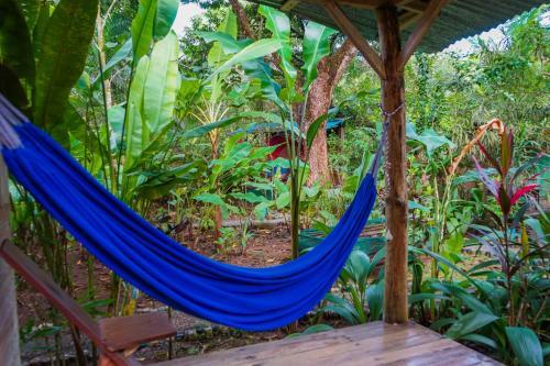 Albergue Flutterby House