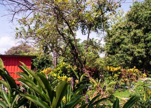 Hotel Cabinas Vive Uvita